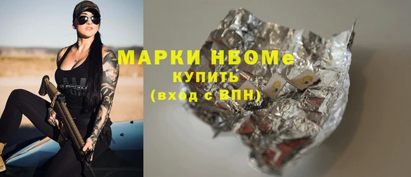 мет Алексин