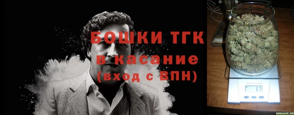 мет Алексин