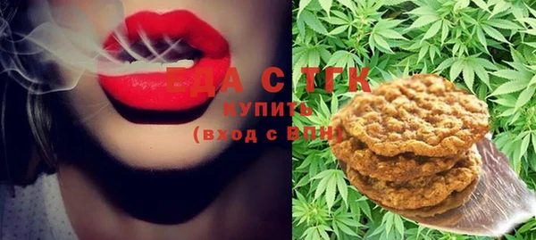 мет Алексин